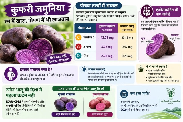 कुफरी जमुनिया रंग में खास 