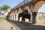 pichola lake udaipur