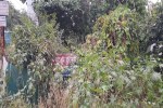 पुलिस चौकी के लिए आवंटित जमीन पर लगा बोर्ड झाडि़यों से ढक गया।