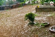imd update rajasthan 23 Oct 24 Oct weather change jaipur hail fell