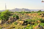 rajasthan aravalli hills