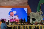 Amit Shah Bhopal Visit