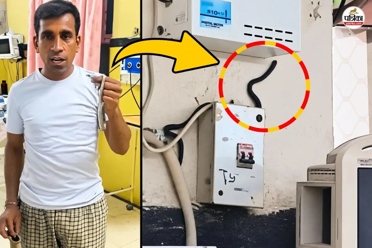 snake in ajmer jln hospital cardiology icu causes panic