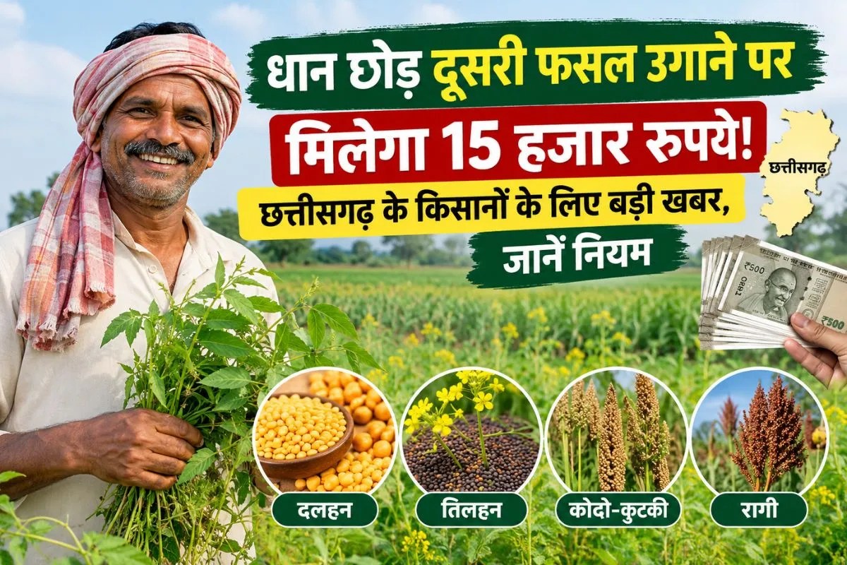Dhan Kharidi