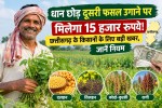 Dhan Kharidi