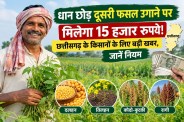Dhan Kharidi