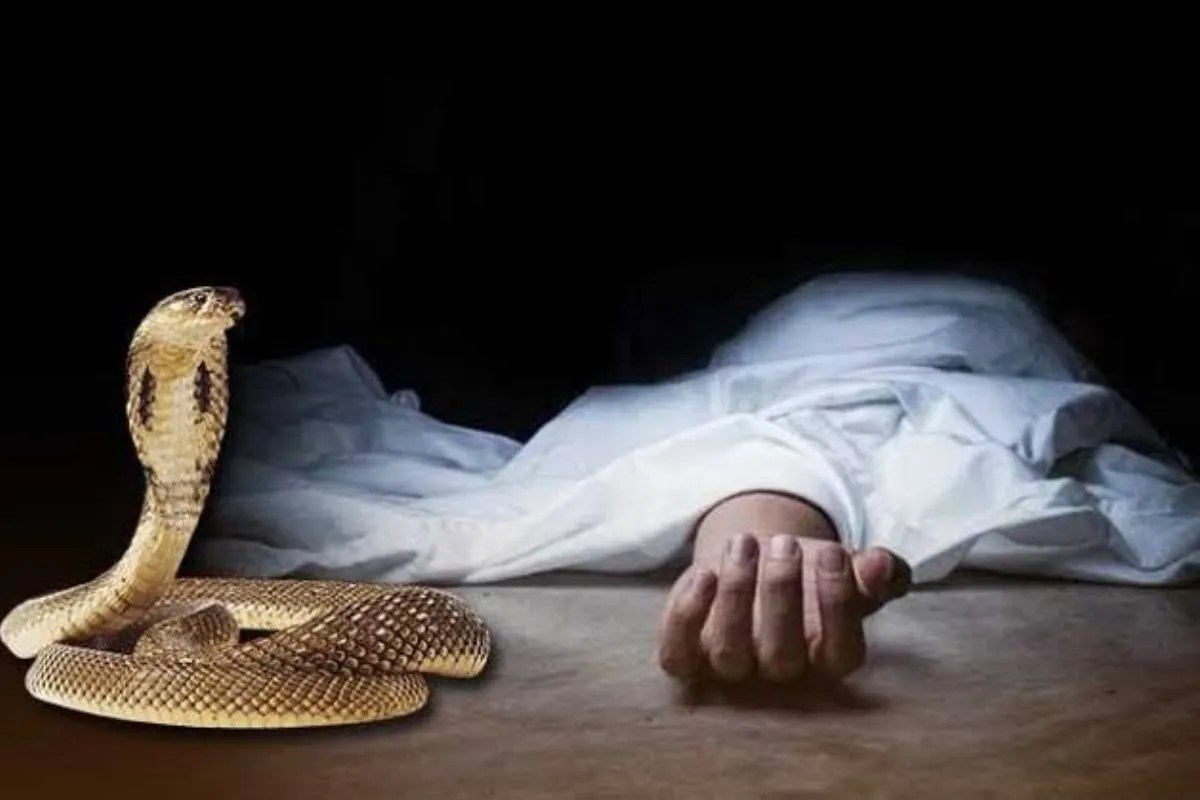 Dhamtari Snake Bite: