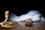 Dhamtari Snake Bite: