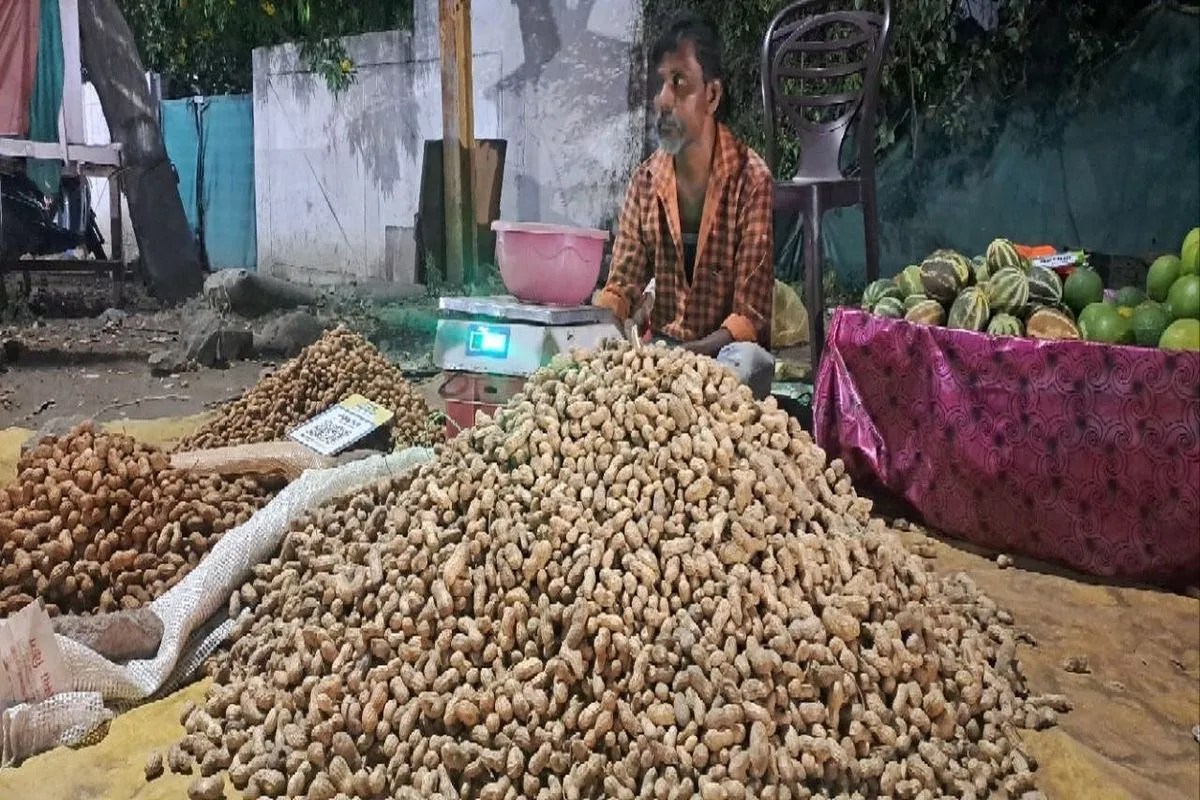 खंडवा में नवरात्र से पहले महंगी हुई फलाहार की थाली, मूंगफली के दाम एक सप्ताह में दोगुने
