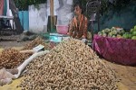 दाम बढ़ने से बाजार में मूंगफली की खरीदी पर असर