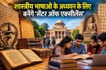 study of classical languages __