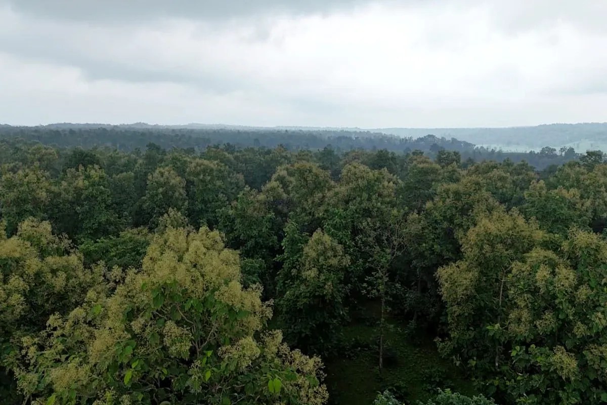 Wildlife Sanctuary Proposal