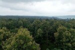Wildlife Sanctuary Proposal