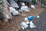 waste