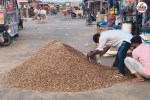 Matira seed price